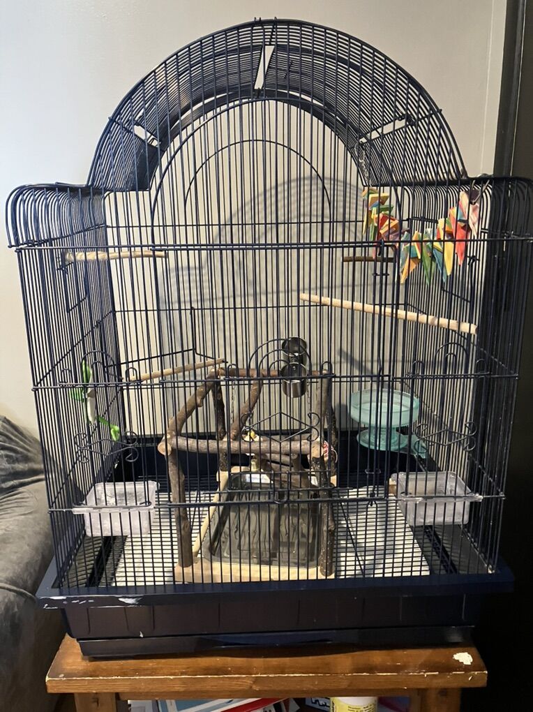 Bird Cage And Supplies