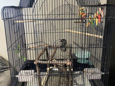 Bird Cage And Supplies