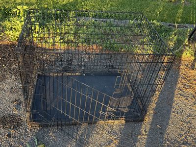 KONG Collapsible Dog Kennel Crate - Black, Portable Pet Travel Cage
