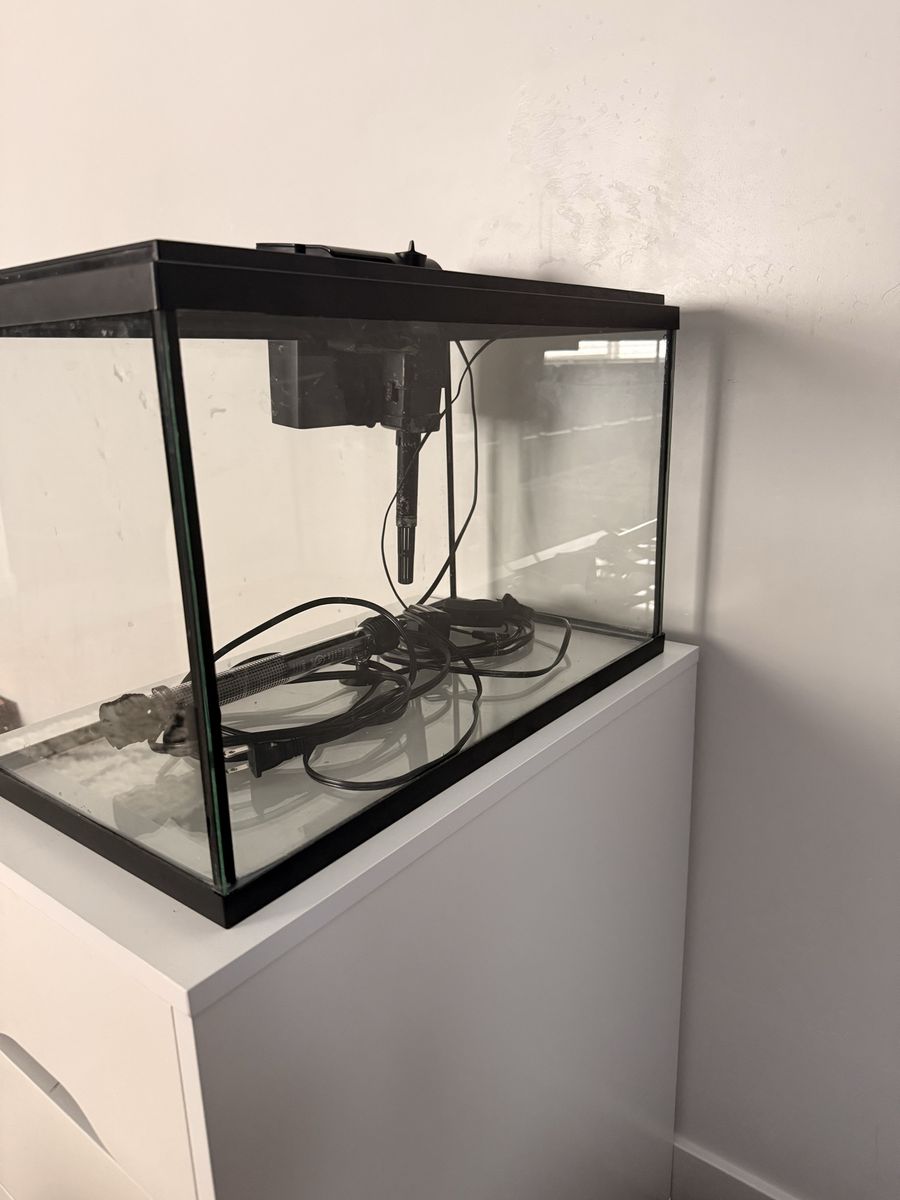 Fish tank