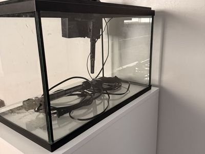 Fish tank