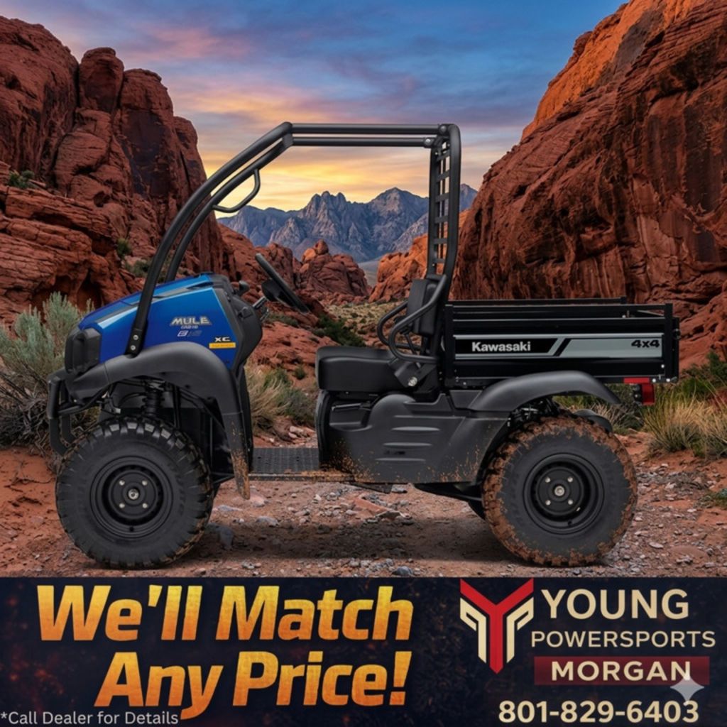 2026 Kawasaki Mule SX™ 4x4 XC