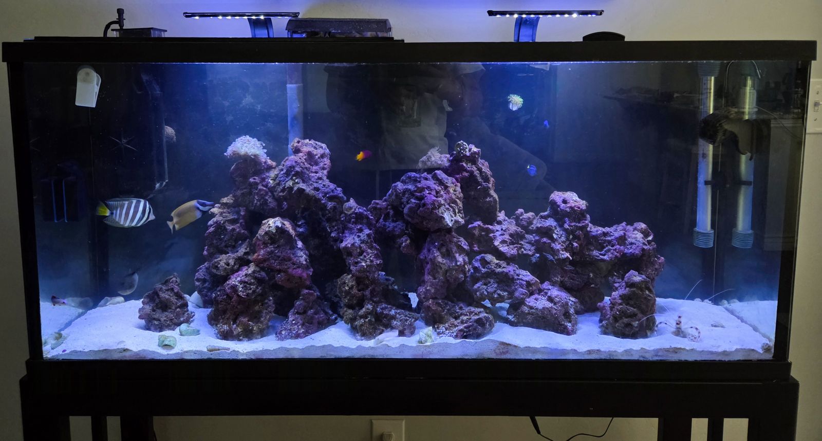 Main image 1