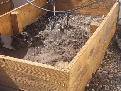 wood garden bed and soil