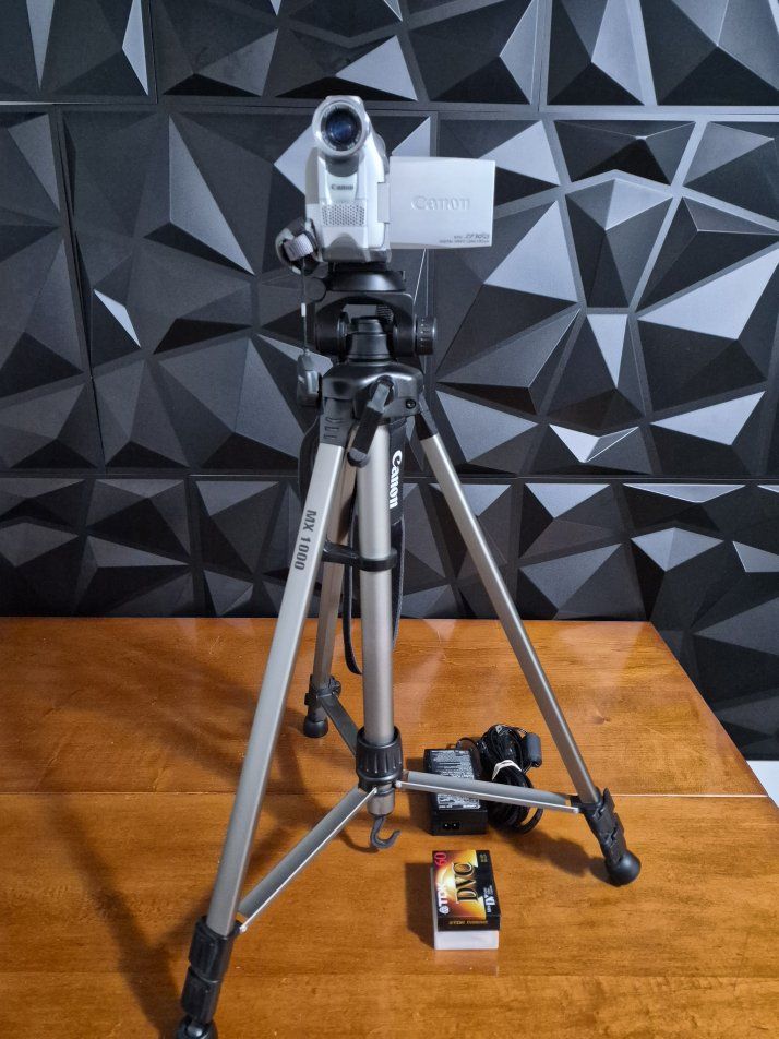 Canon ZR 30 MC MiniDV Tape Silver 2.5" LCD 200x Digital Zoom Camcorder with SD Card, Battery & Charger. Tested. Excellent Condit