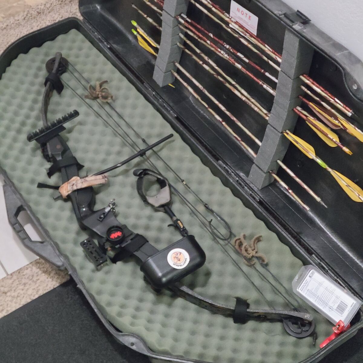 Hoyt compond bow