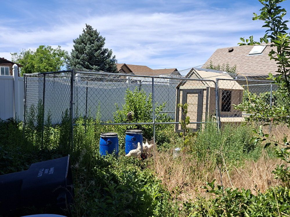 Main image 7