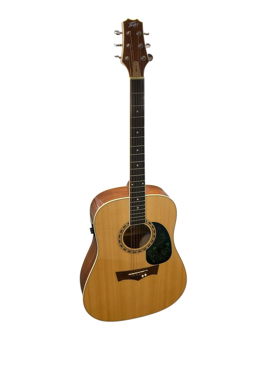 PEAVEY E/A GUITAR DW-2 E75010633