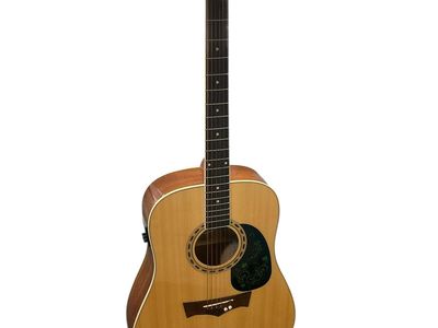 PEAVEY E/A GUITAR DW-2 E75010633