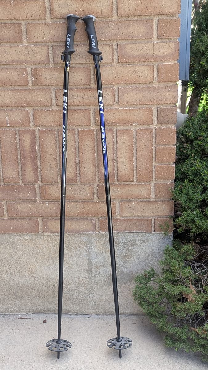 Leki ski poles