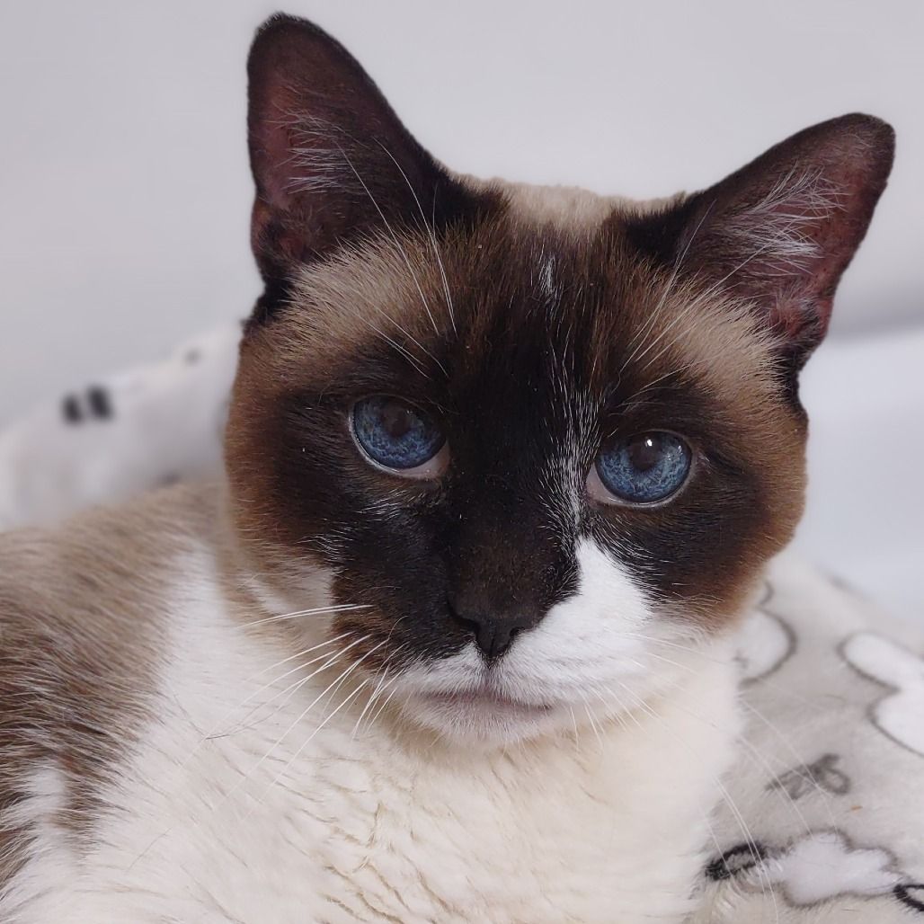 Hello my name is Alaia