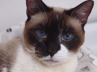 Hello my name is Alaia