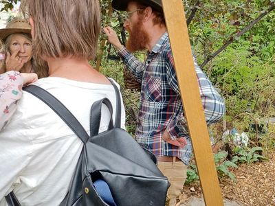Come Learn to Preserve Herbs from Huge Food Forest Last Chance
