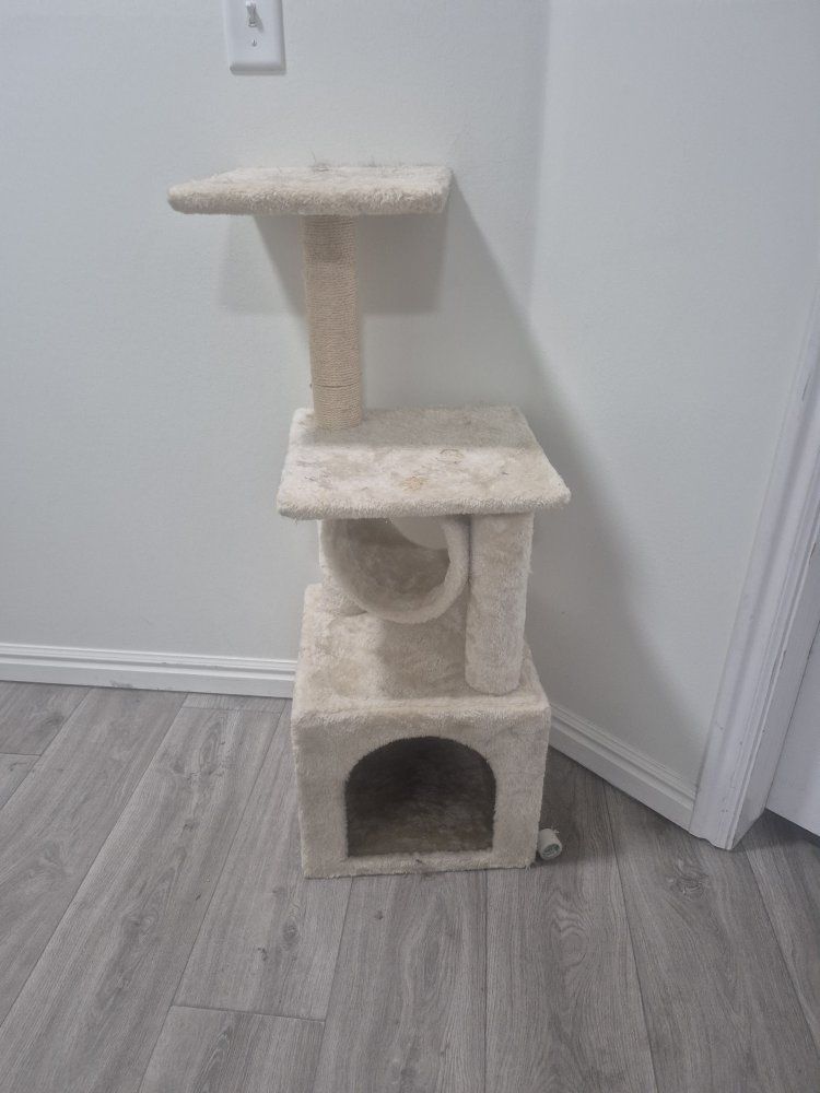cat scratcher