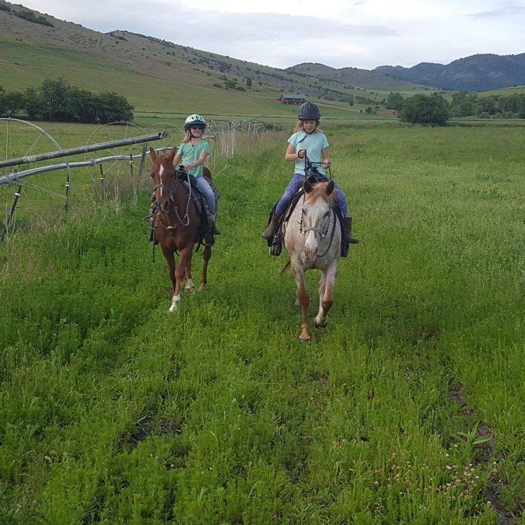 Broodmare for lease