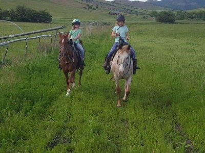 Broodmare for lease