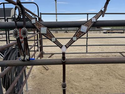 Leopard Tack Set