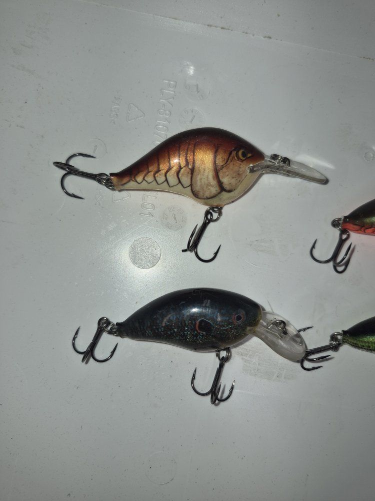 rapala fishing lures