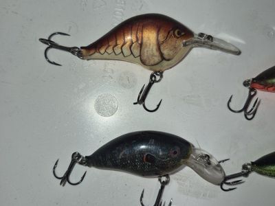 rapala fishing lures