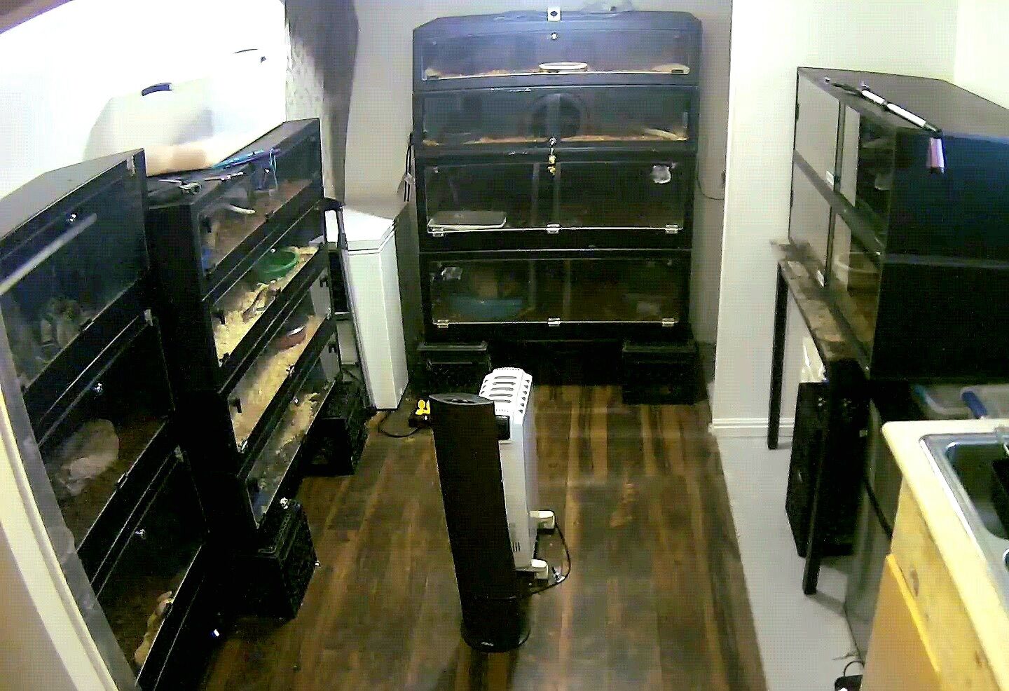 SLC Area PVC Enclosures (Reptiles)