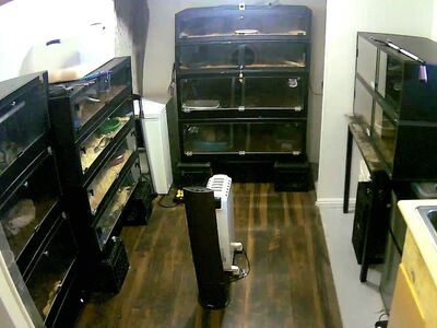 SLC Area PVC Enclosures (Reptiles)