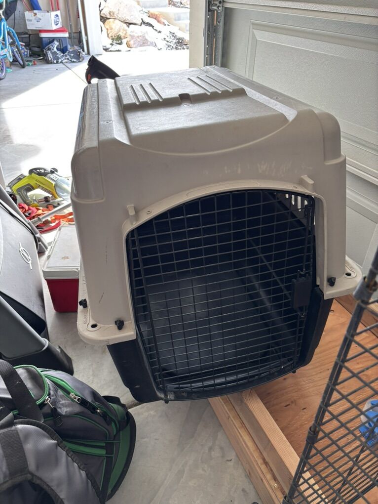 Dog Kennel