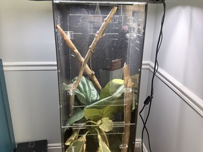 Reptile enclosure/chameleon enclosure