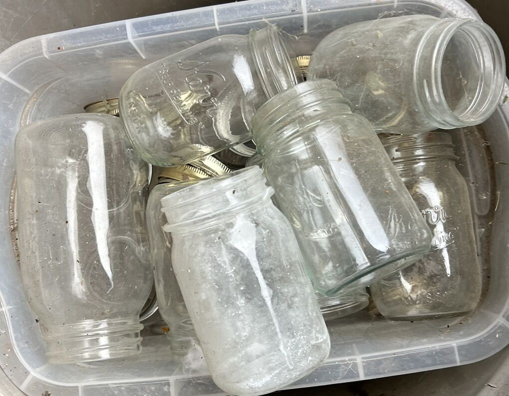 40ish Mason Jars for Bottling Or Home Canning