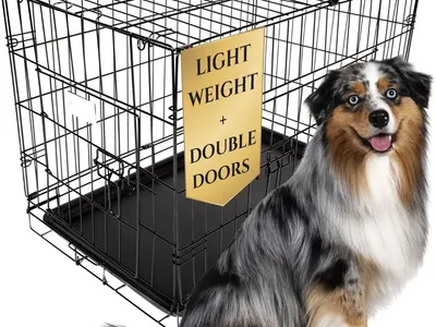 Unbeatable Price Brand New Wire Dog Kennels Available – Pickup in Salt Lake City