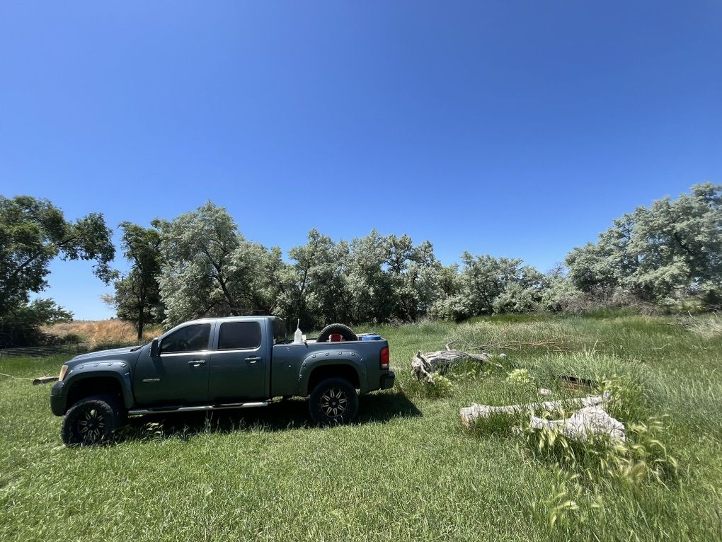 2010 Duramax Lmm