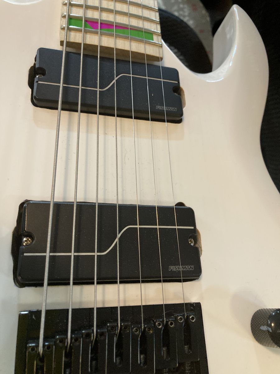 Fishman 7 String pickups (with a free guitar)