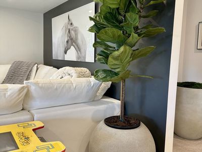 Large Fiddle Leaf Fig Tree