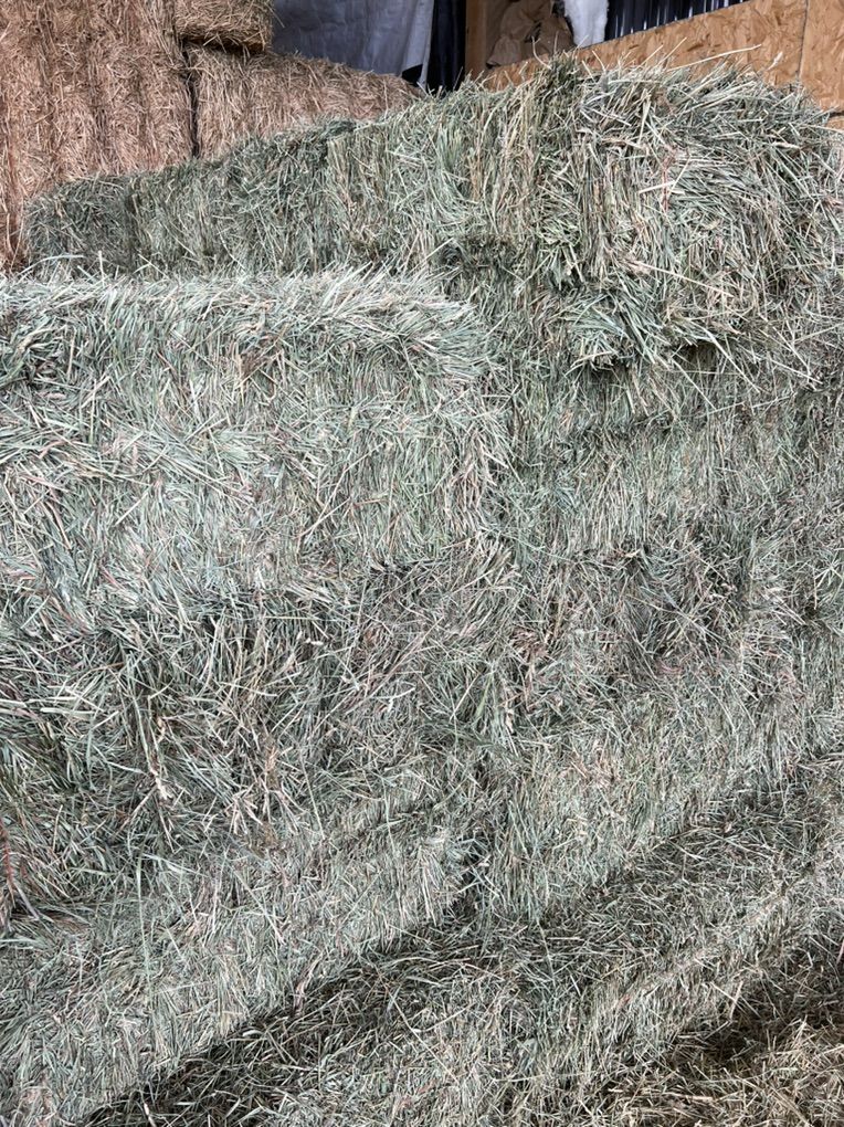 1st Crop Grass/Alfalfa Hay