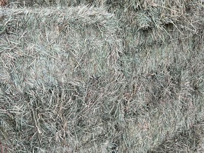 1st Crop Grass/Alfalfa Hay