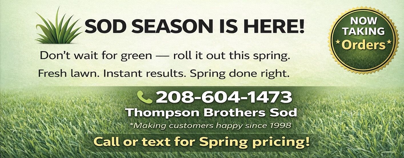 Sod - Kentucky Blue Grass