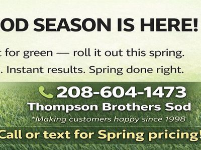 Sod - Kentucky Blue Grass