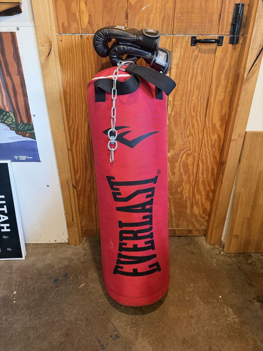 Heavy punching bag w glove/ like new.