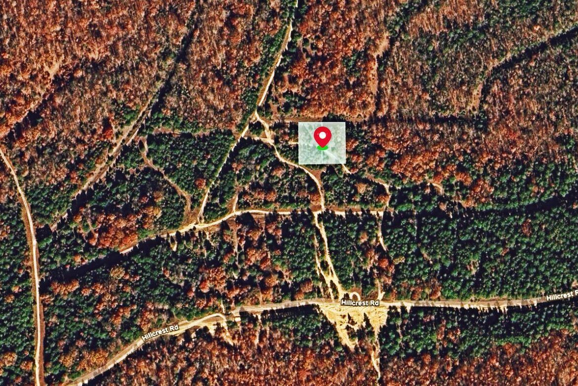 Main image 8