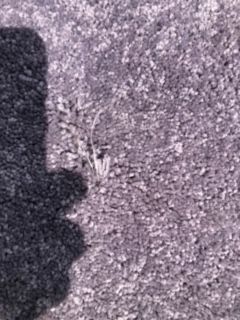 Main image 2