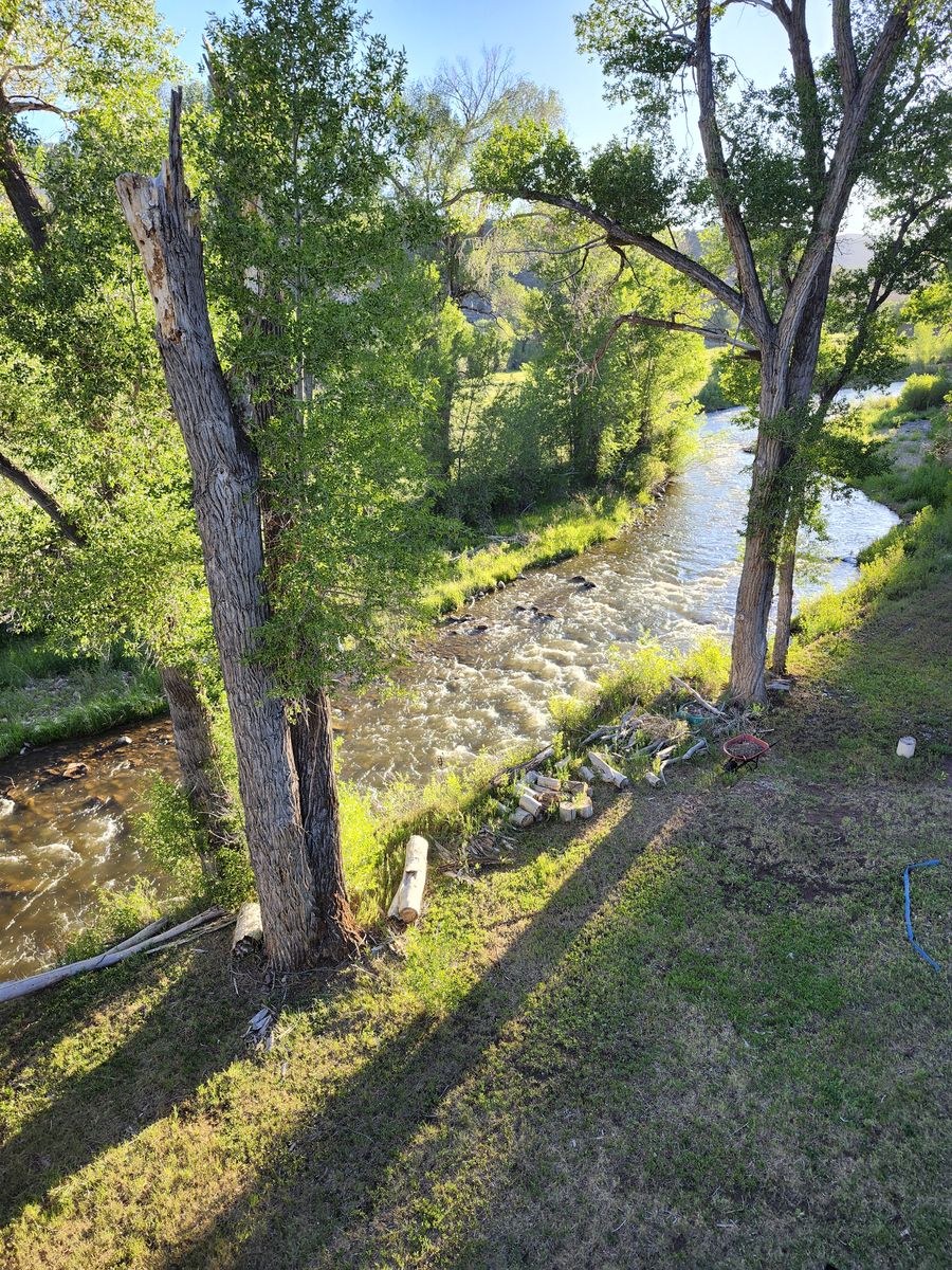 Main image 5
