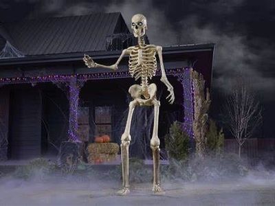 Home Depot Halloween 12ft Skeleton