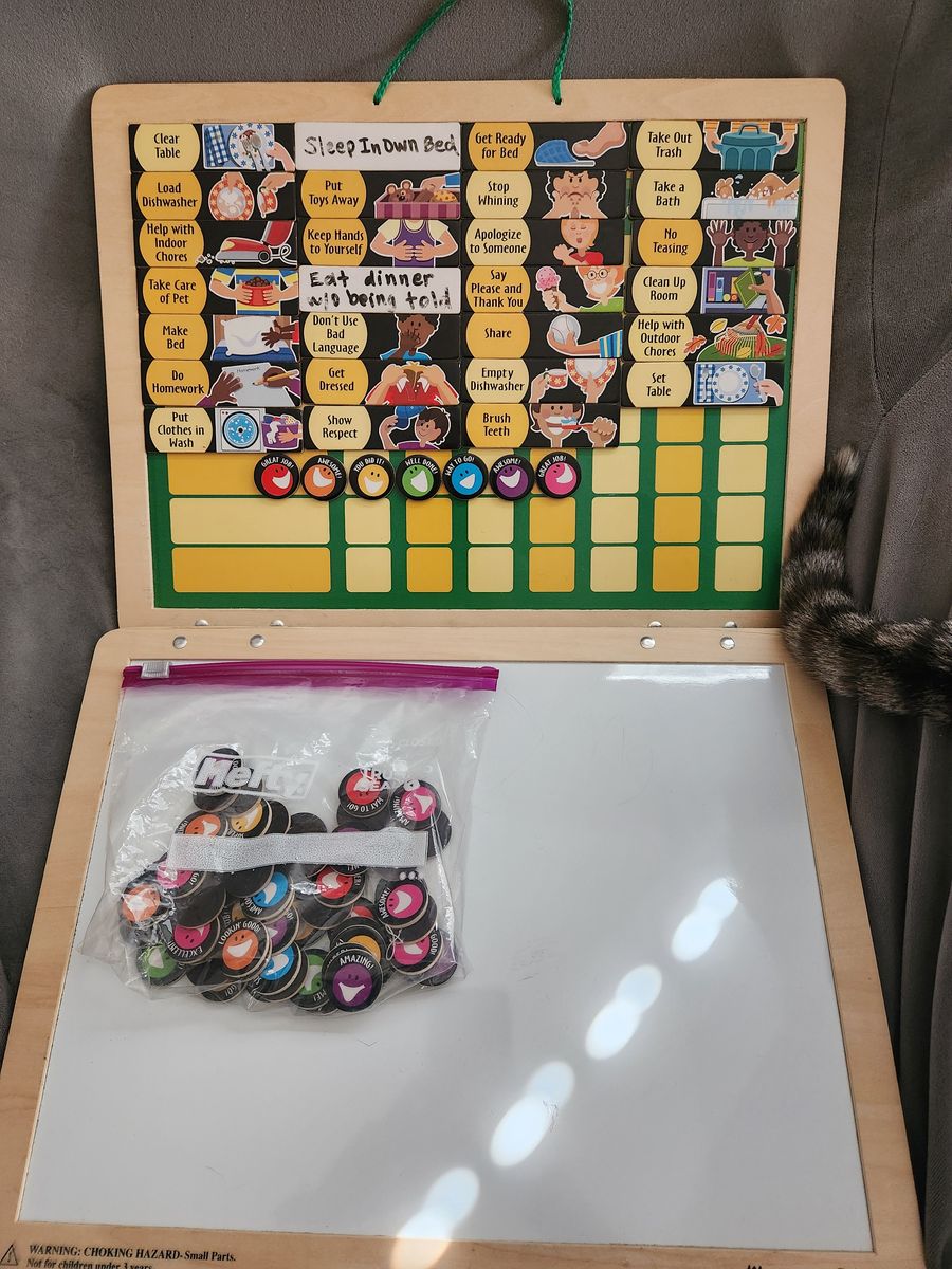 Melissa & Doug Magnetic Responsibility Chore and Behavior Chart