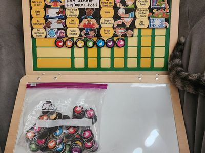 Melissa & Doug Magnetic Responsibility Chore and Behavior Chart