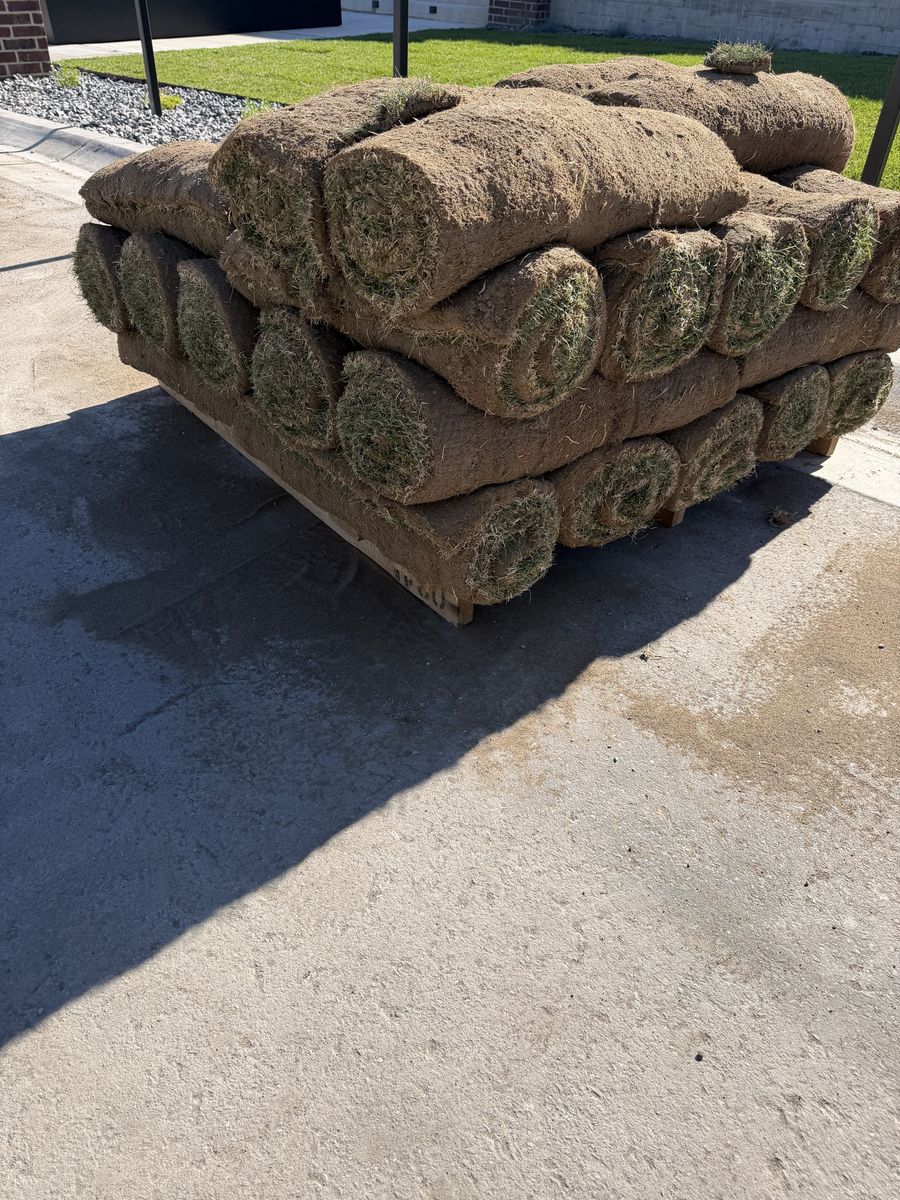 Premium Dense Kentucky Bluegrass Sod - special field mix (330 sq feet)