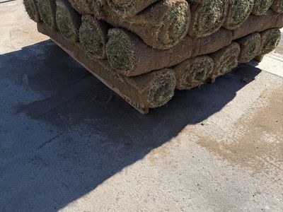 Premium Dense Kentucky Bluegrass Sod - special field mix (330 sq feet)