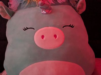Unicorn afro squishmallo
