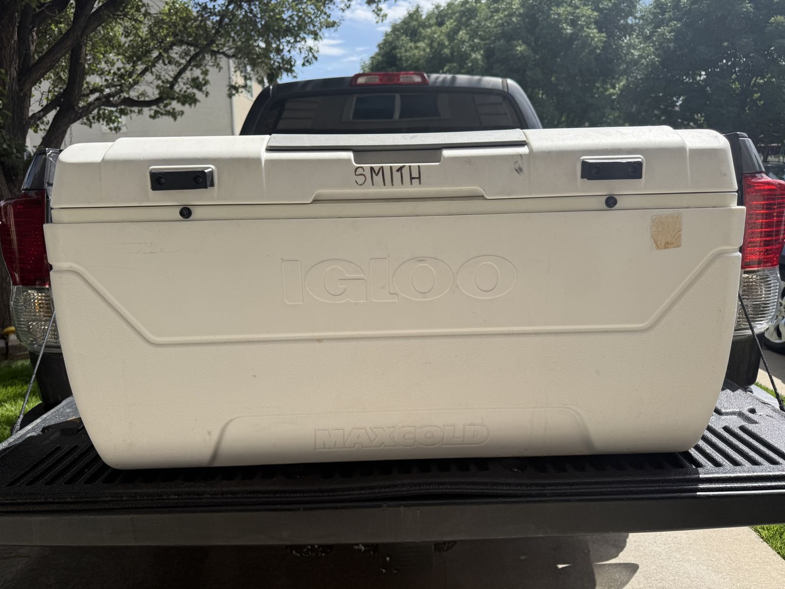 Igloo MaxCold Large White Cooler Ice Chest