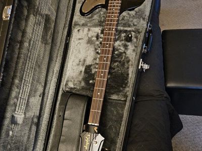 Epiphone Rex Brown Thunderbird bass