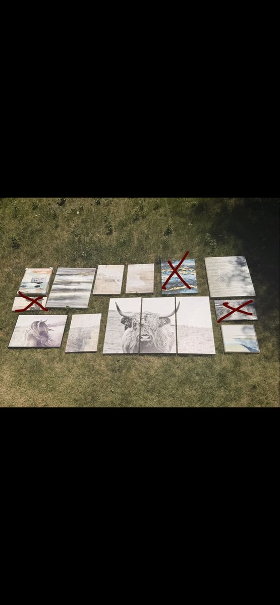 Painting(s)