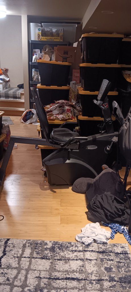 Schwinn Recumbent Exercise Bike